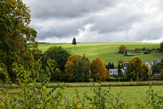 DSC_0009-DxO_DeepPRIME 3_DxO.jpg
