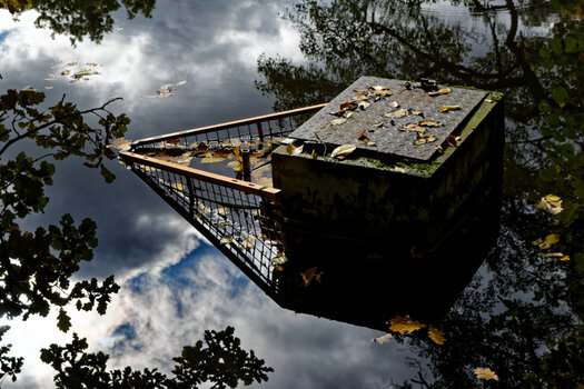 DSC_0012-DxO_DeepPRIME 3_DxO.jpg
