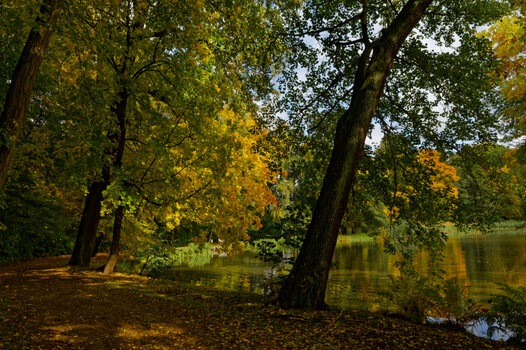 DSC_0032-DxO_DeepPRIME 3_DxO.jpg