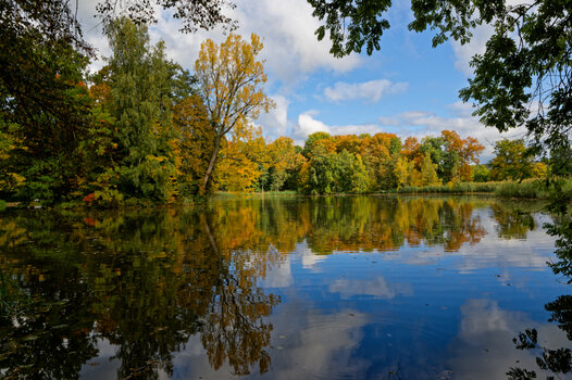 DSC_0041_DxO.jpg