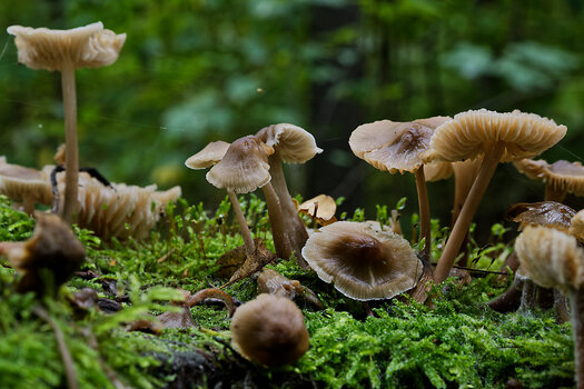 DSC_0057-DxO_DeepPRIME 3_DxO.jpg