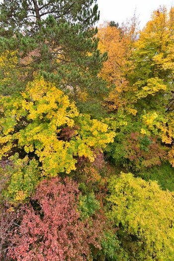 Herbst D800E klein DSC_0880.jpg