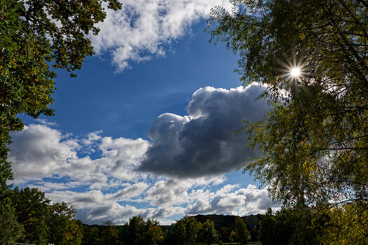DSC_0071_DxO.jpg