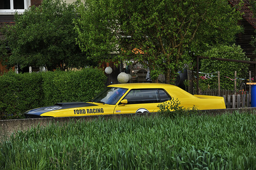 DSC_4324.f7.jpg