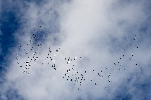 750_4333_DxO.jpg