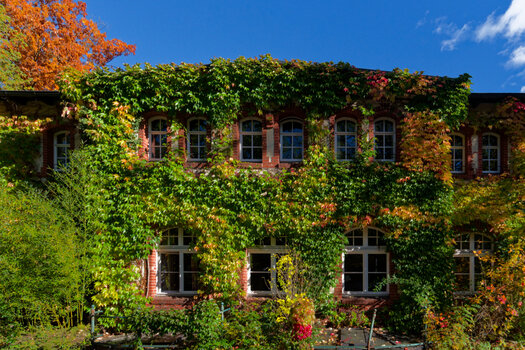 750_4375_DxO.jpg