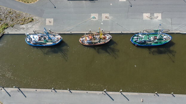 DJI_10369 (19).jpg