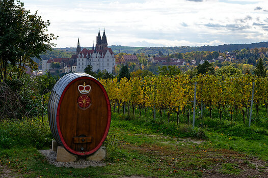 DSC_0114_DxO.jpg