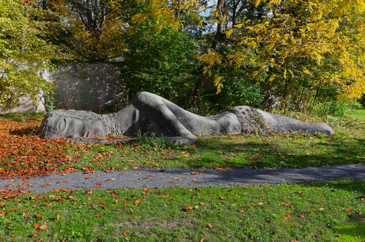 DSC_0081_DxO.jpg