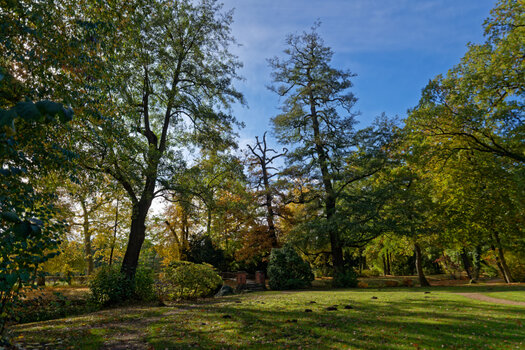 750_4442_DxO.jpg