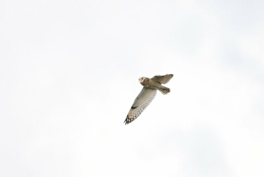 DSC_8653.JPG