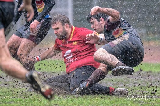 DSC_8670_DxO - Kopie_DxO.jpg