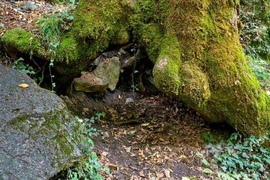cp_N63_jm039338_ji.jpg