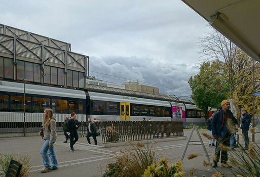DSC08137.ff.jpg
