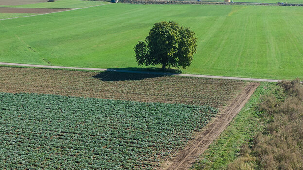 DJI_10575 (25).jpg