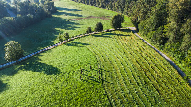 DJI_0217.jpg