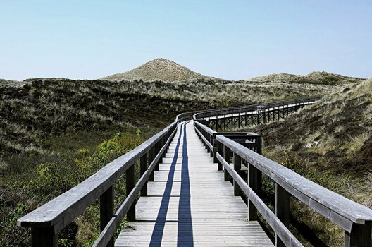 sylt.jpg