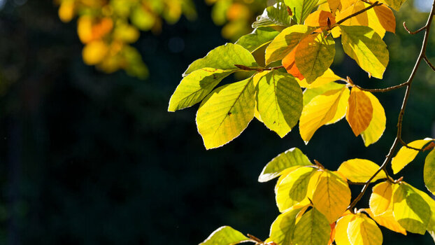 DSC_2240_DxO _DxO .jpg