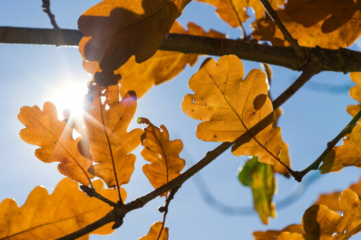 Okt30_0019.jpg