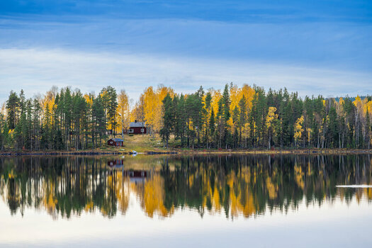 DSC_7701-Bearbeitet.jpg