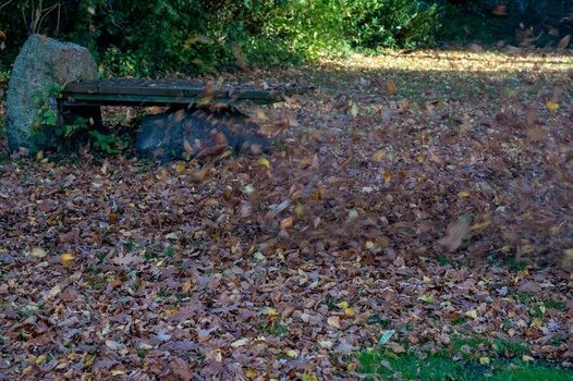Herbst.jpg