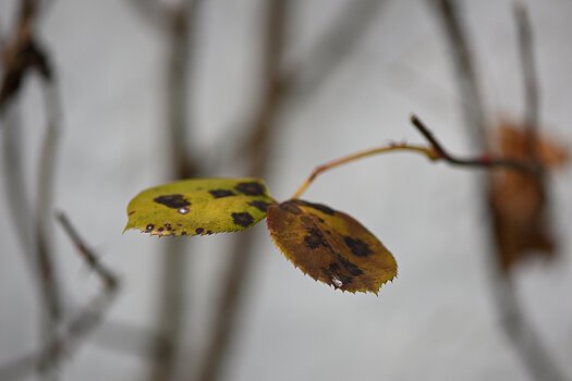DSC_7036.f.fffffffffffffffffffffffffffffff.jpg