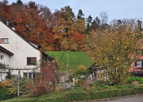 DSC_7041.f.jpg
