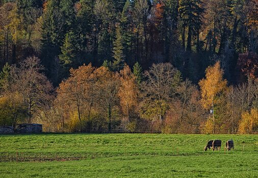 DSC_7089.f.jpg