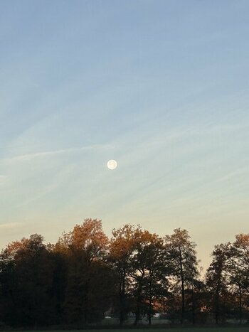 IMG_8594.jpeg