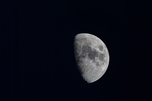 K20A0005.jpg