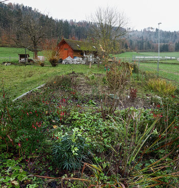 Neues Panorama 3.ff3.jpg