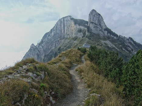 DSCF8702.f.jpg