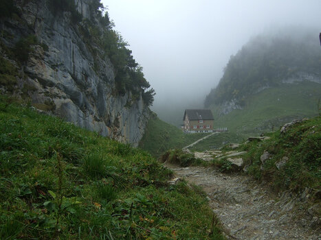 DSCF8774.f.jpg