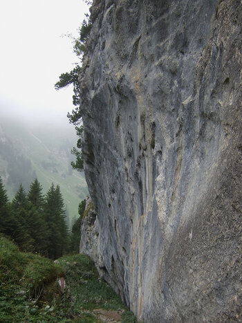 DSCF8777.f.jpg