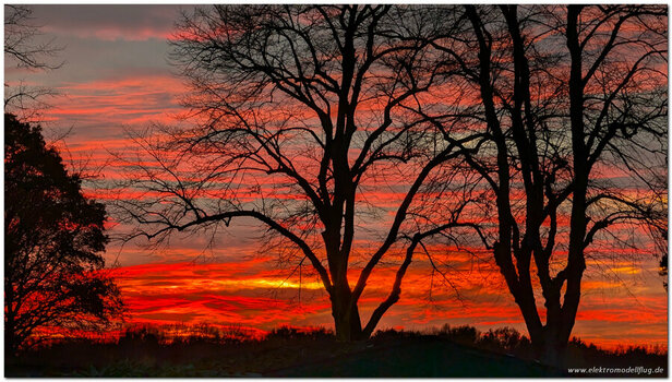 .trashed-1765555873-PXL_20251112_154232319.NIGHT.jpg