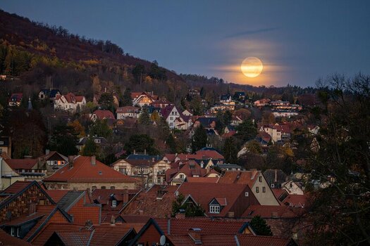 2025-11-05_Blankenburg-55_2k.jpg