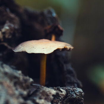 DSC_0354.03.jpg