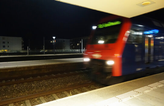DSC08252.f.jpg