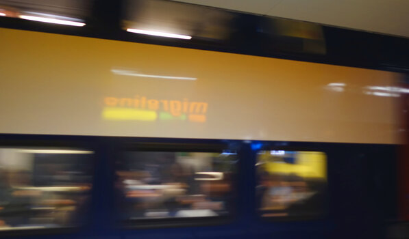 DSC08254.f.jpg