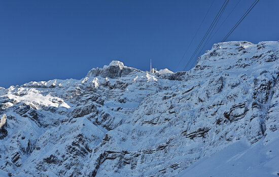 DSC_7308.f2.jpg