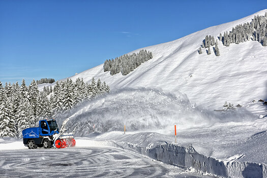 DSC_7318.f.2.3.jpg