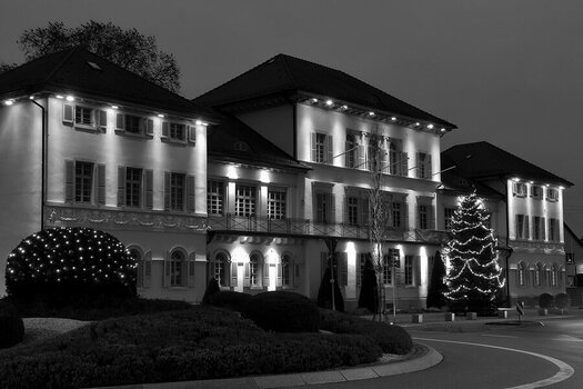 WRU_Weihnachten_001_sw.JPG