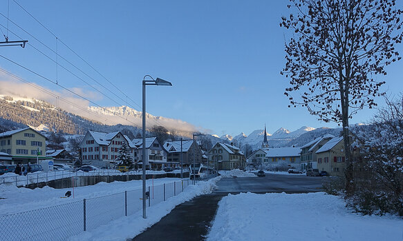 DSC08345.f.jpg
