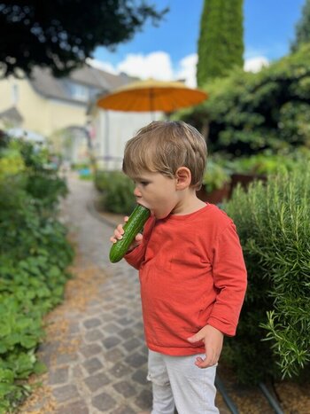 IMG_6913.jpeg