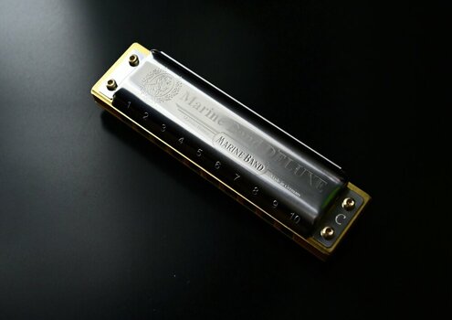 comp__DSC1085.jpg