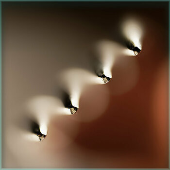 Macro-Gabel.jpg