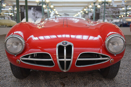 DSC_3195.f.jpg