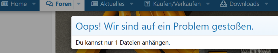 nur_eine_datei.png nur_eine_datei.png
