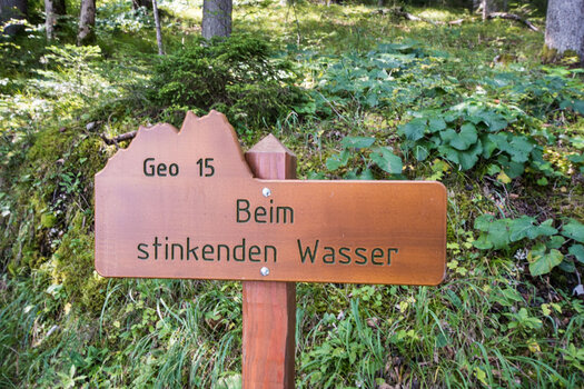 DSC_0390 900.jpg DSC_0390 900.jpg