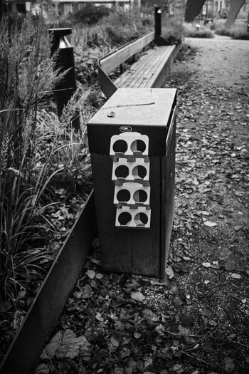 NL081125-34.jpg